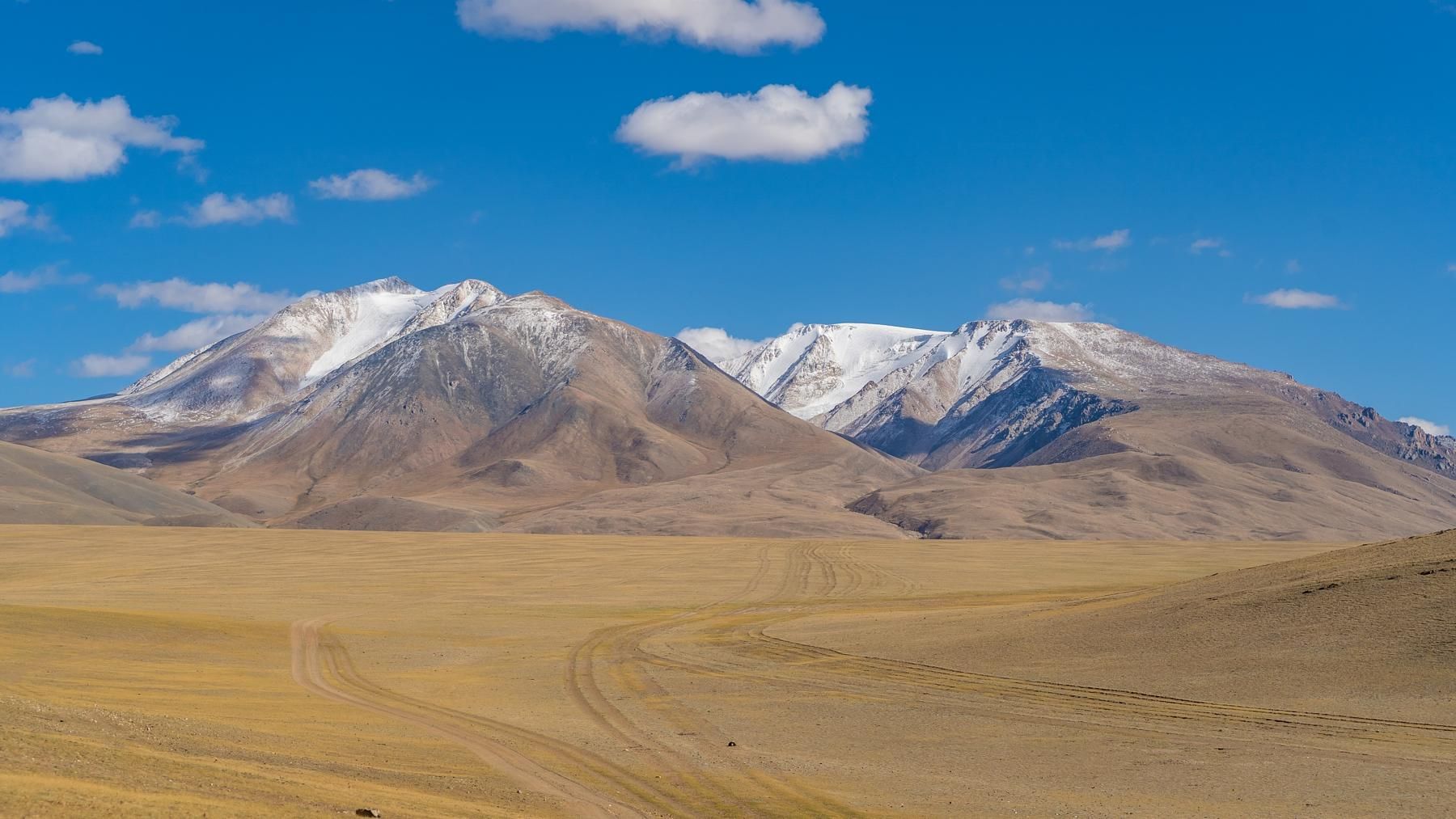 Авторское путешествие «Просторы Монголии» *АТ