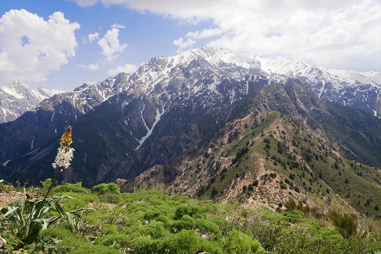 Турне по Узбекистану с прогулкой в горах Западного Тянь-Шаня *МП