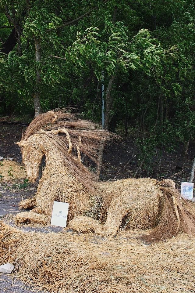 Яркая винодельня Сухая Гора. Ландшафтный парк. Олени, альпаки и ароматный чай