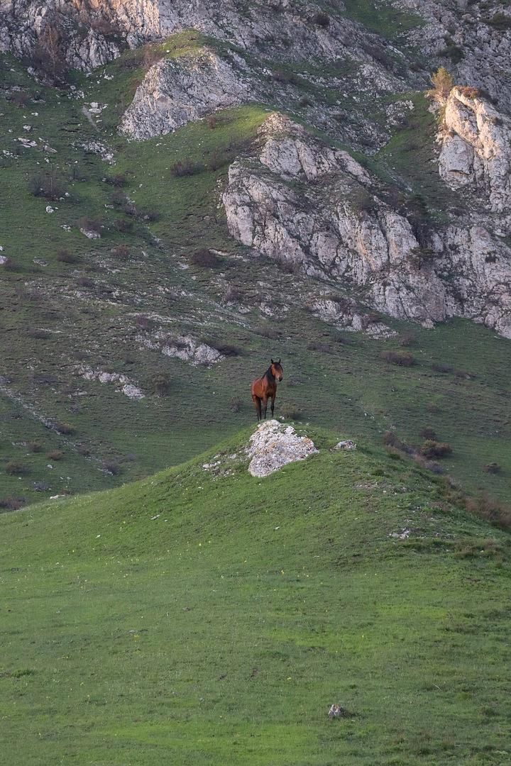 Две горные красавицы: Осетия и Ингушетия