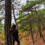 Время красной скумпии: Голубая бездна и винный парк «Белый мыс»
